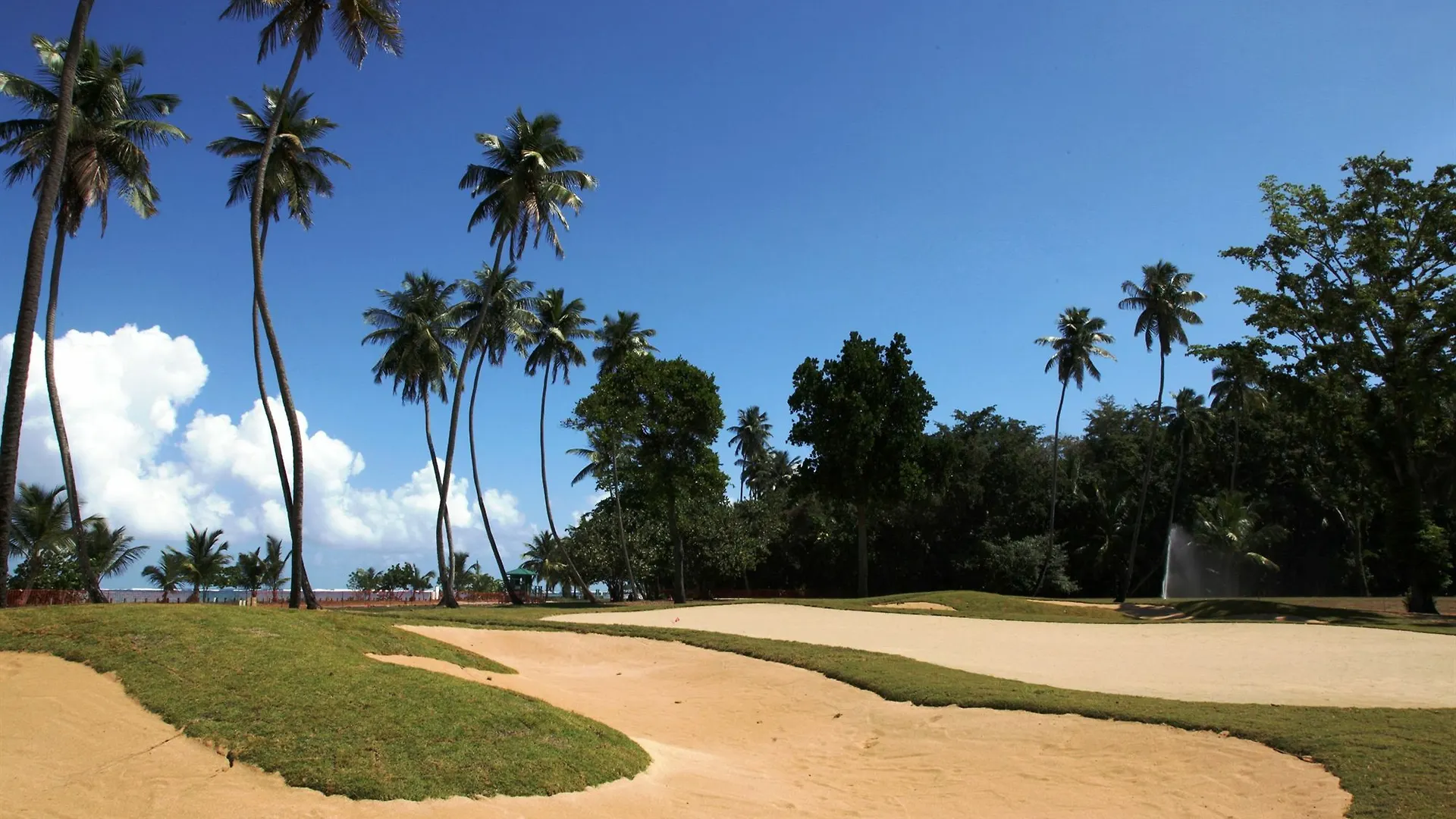 Plantation Resort Residences At Dorado Beach